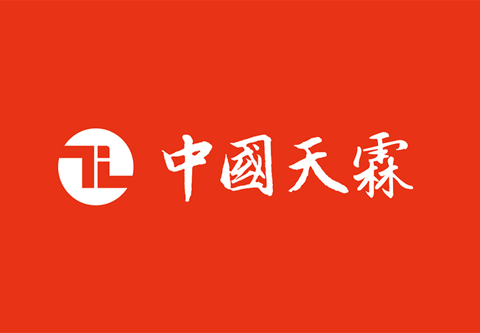 中国天霖投资集团标志LOGO、VI形象设计